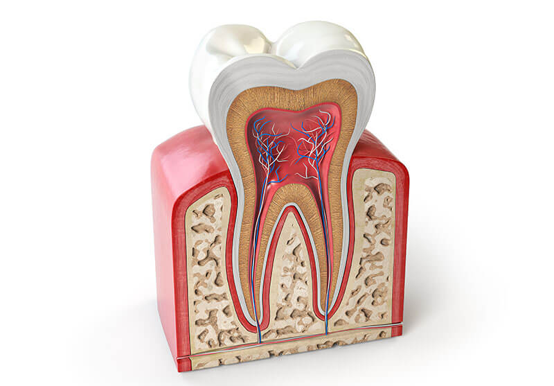 Root Canal Treatment